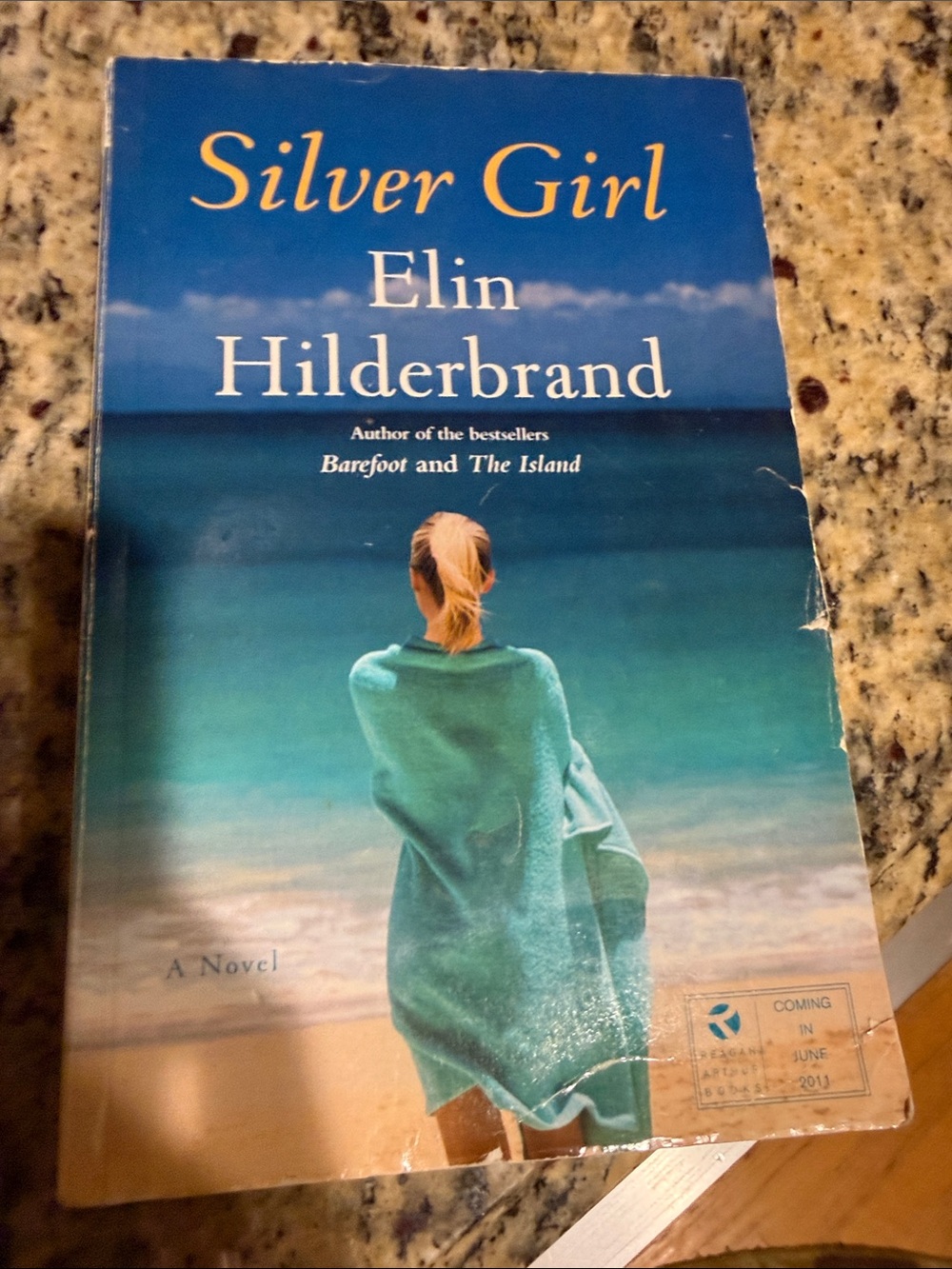 Silver Girl - Teal Cover Paperback